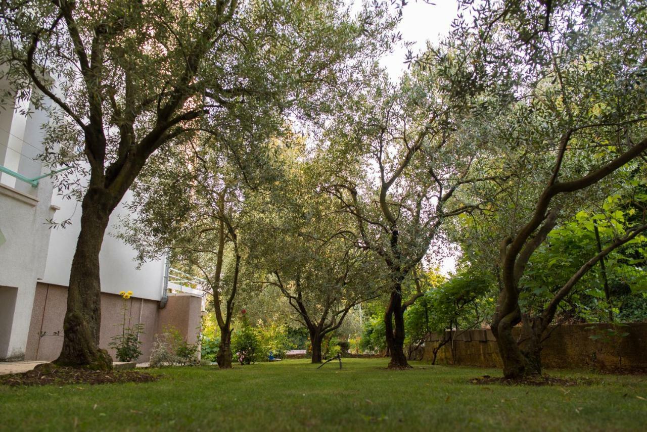 Apartment Lena Zadar
